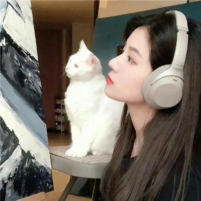 义胆忠魂